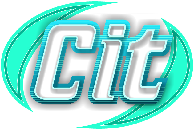 CIT Services