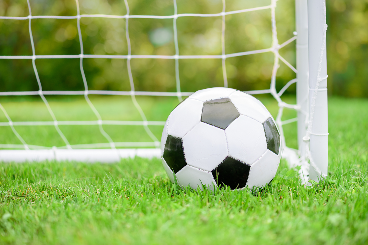 Company Header Liechtensteiner Fussballverband